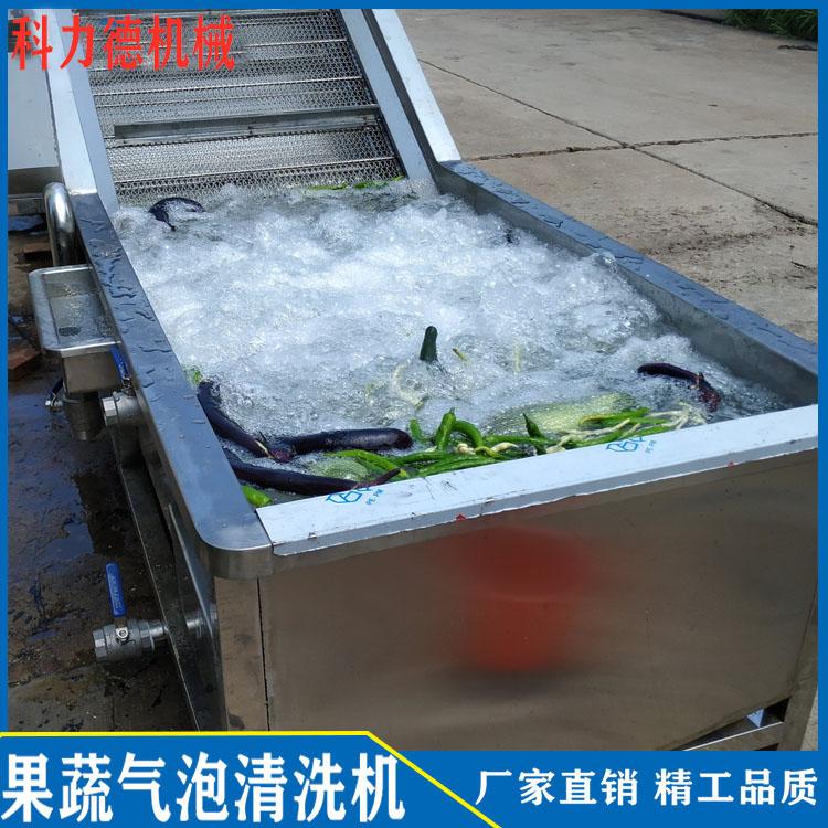 热销圣女果清洗机 粽叶清洗机 食用菌气泡喷淋清洗机 果蔬气泡清洗机