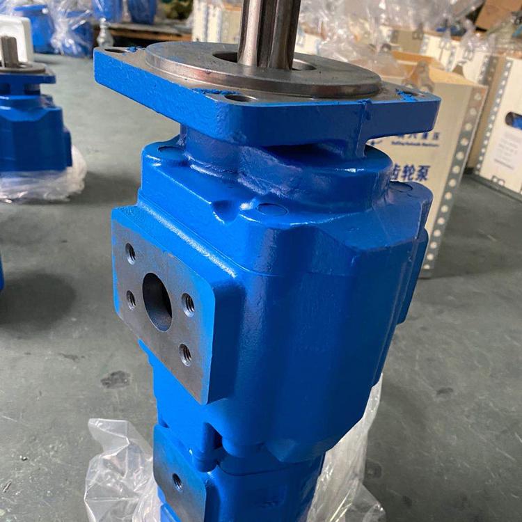 华星齿轮油泵供应商  齿轮泵生产厂家  双联齿轮油泵批发