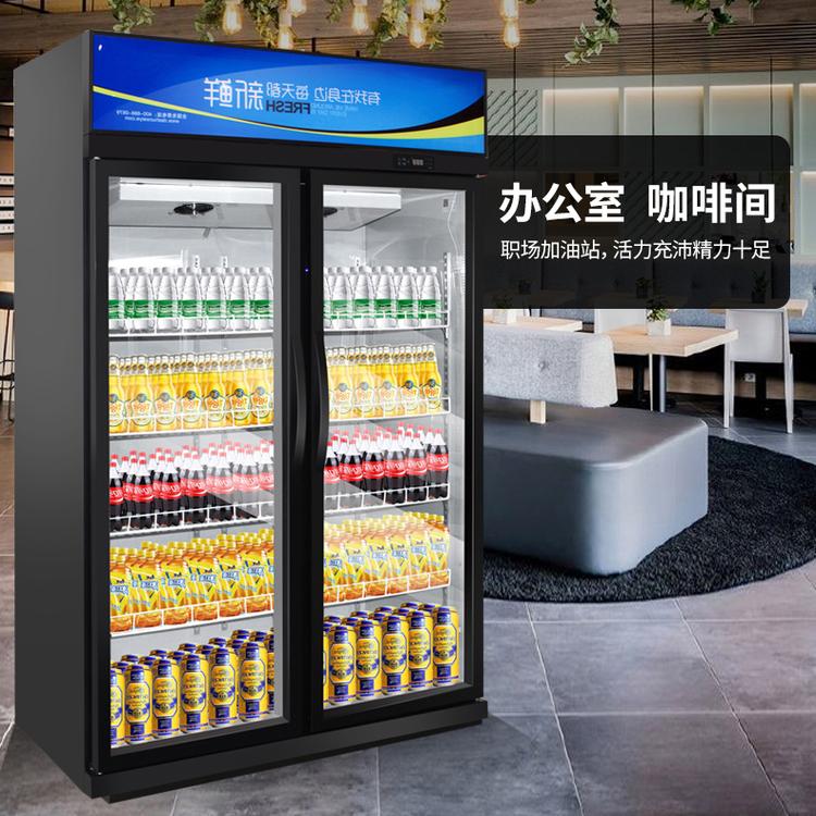 商用豪华啤酒柜 双门饮料柜 冷藏展示柜 啤酒展示柜商厨世家