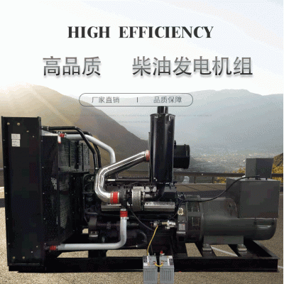 700KW上柴发电机组