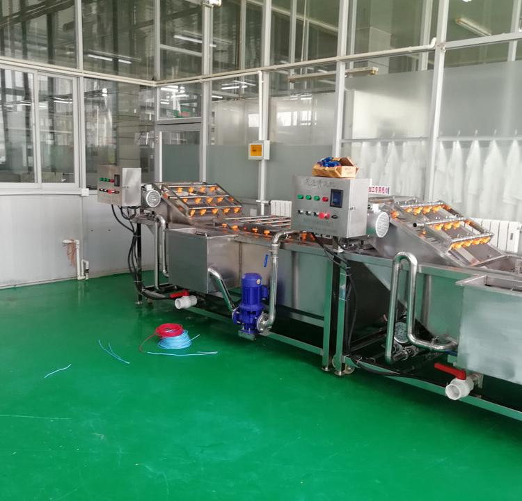 全自动果蔬清洗设备 厂家定做果蔬清洗机