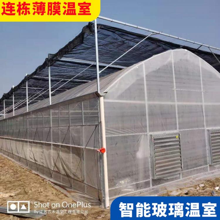 龙虾养殖大棚 花卉育苗薄膜连栋温室大棚 8432外遮阳连栋温室