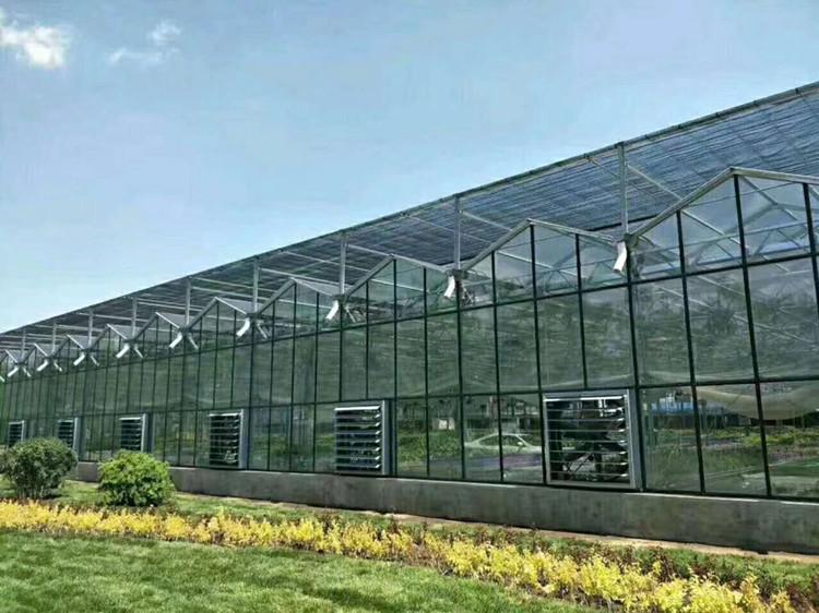 日光温室工程报价 新型智能温室 推荐鋆成兴达