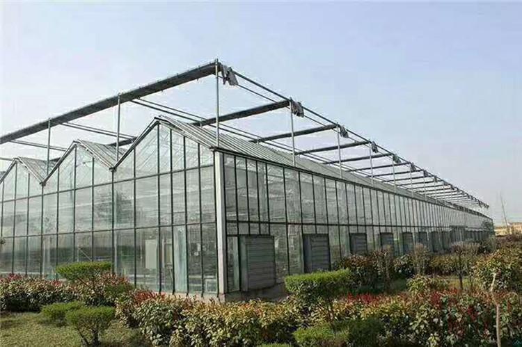 厂家批发温室材料配件 新型日光温室大棚  椭圆管钢架大棚 免费设计安装