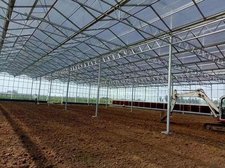 厂家直销支持定制日光温室 水果蔬菜大棚 免费设计安装