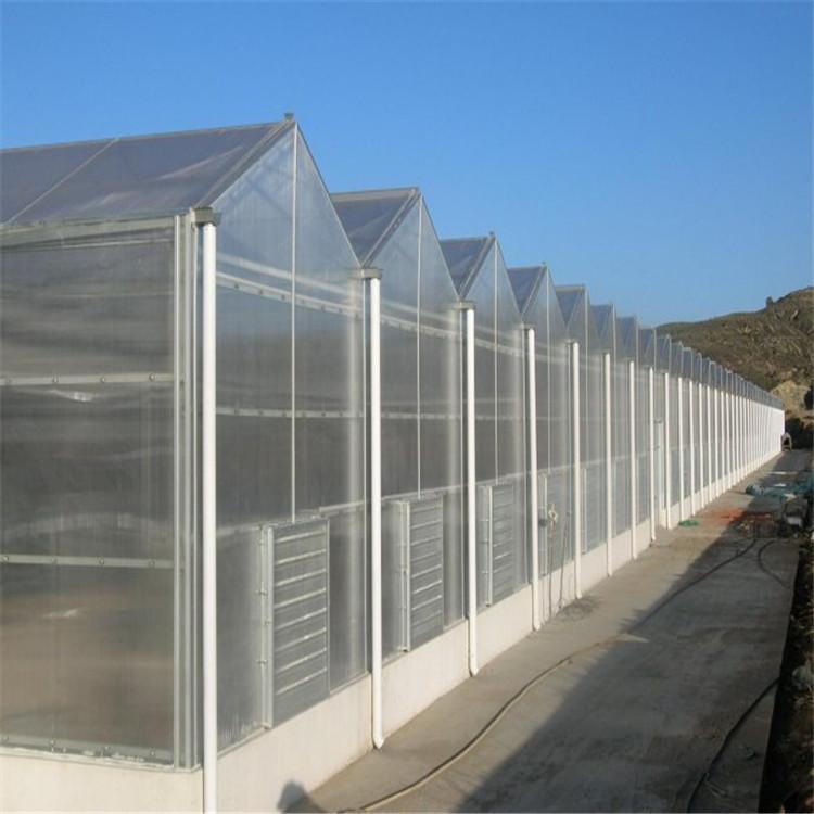 花卉智能温室大棚价格 蔬菜智能温室大棚建设 山东连栋智能温室大棚报价