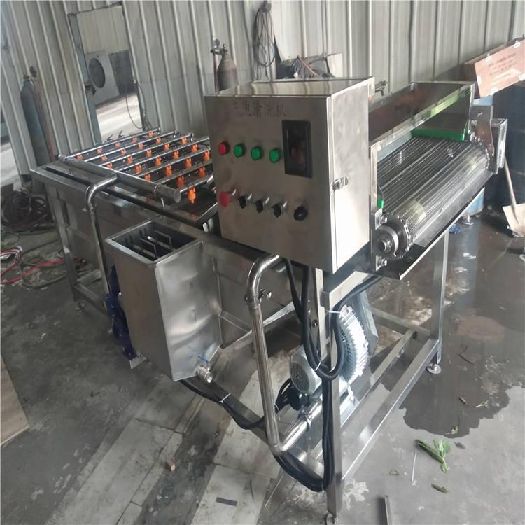 菠菜清洗机 油菜小油菜清洗设备 全自动油菜清洗流水线