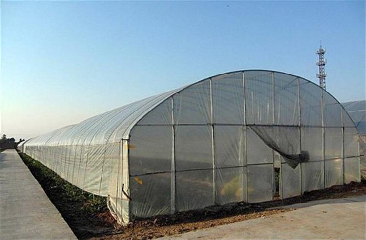 恒丰温室   大量供应优质简易温室大棚