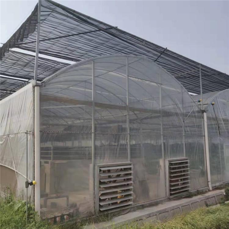 简易连体大棚 连栋大棚 农户简易温室薄膜大棚  恒丰温室