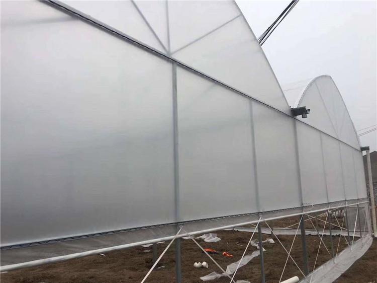 结实耐用的薄膜温室大棚 连栋薄膜温室报价  恒丰温室