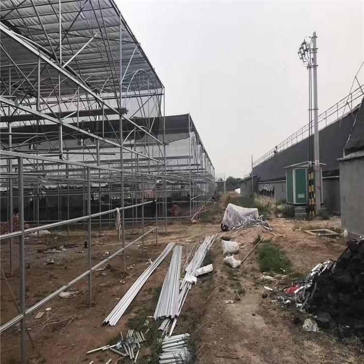 连栋温室大棚-连栋温室大棚建设