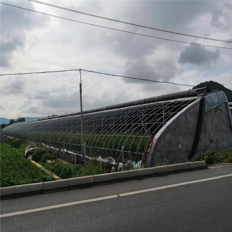 日光温室 日光温室大棚 日光温室生产厂家