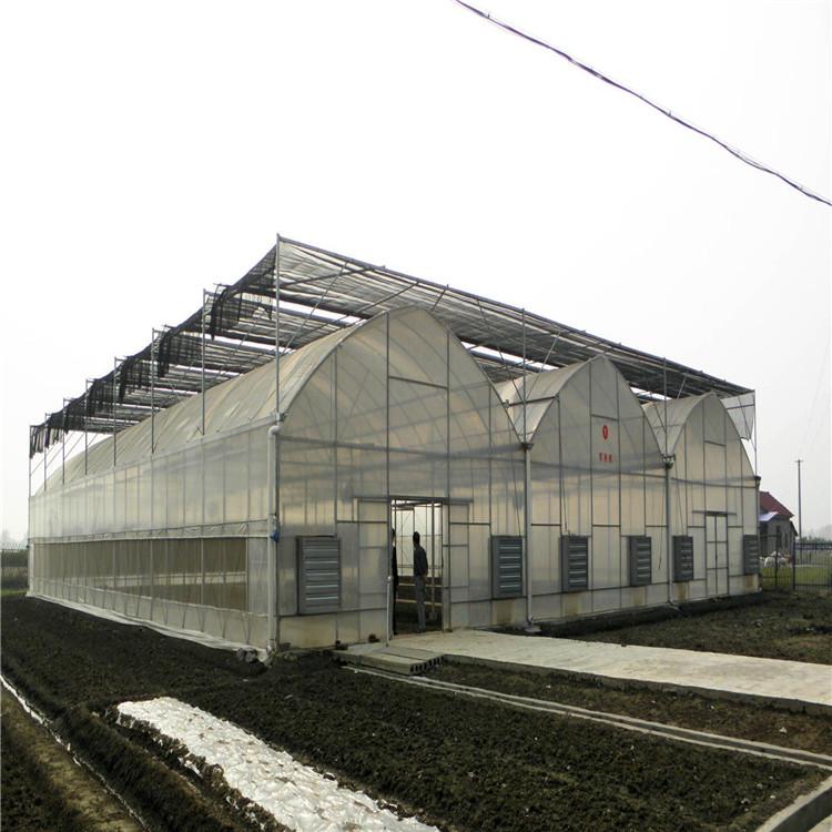 建造设计连栋薄膜温室 连栋温室 价格优惠 优良质量