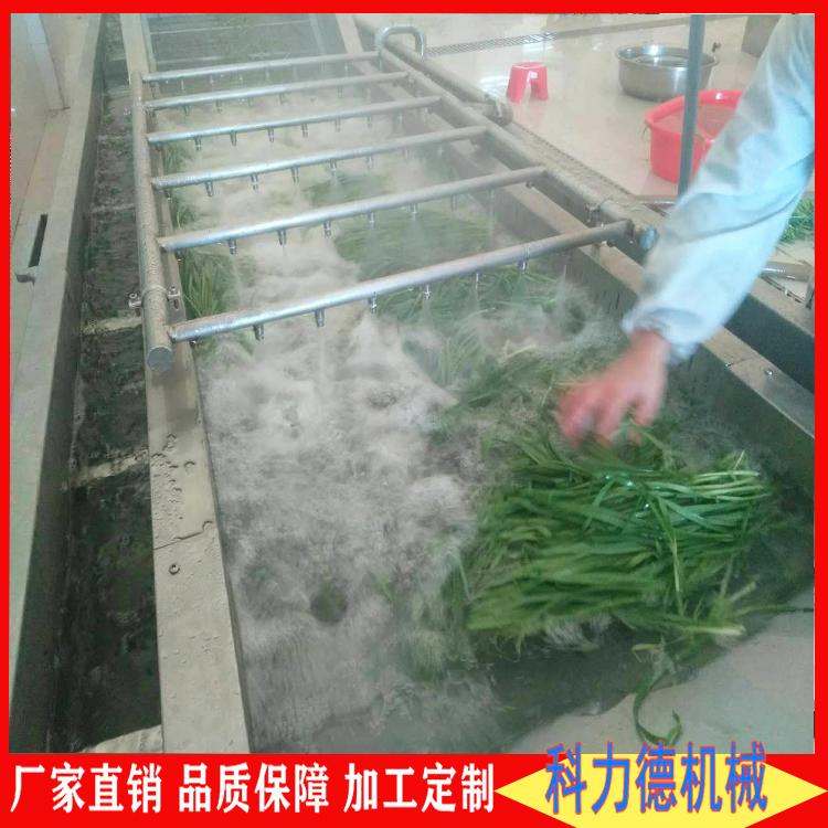 厂家直供小龙虾气泡清洗流水线玉米清洗漂烫线 多功能果蔬辣椒气泡清洗机