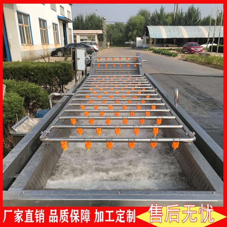厂家定制多功能果蔬辣椒气泡清洗机 自动圣女果冲浪式清洗机 小龙虾漂烫设备加工流水线