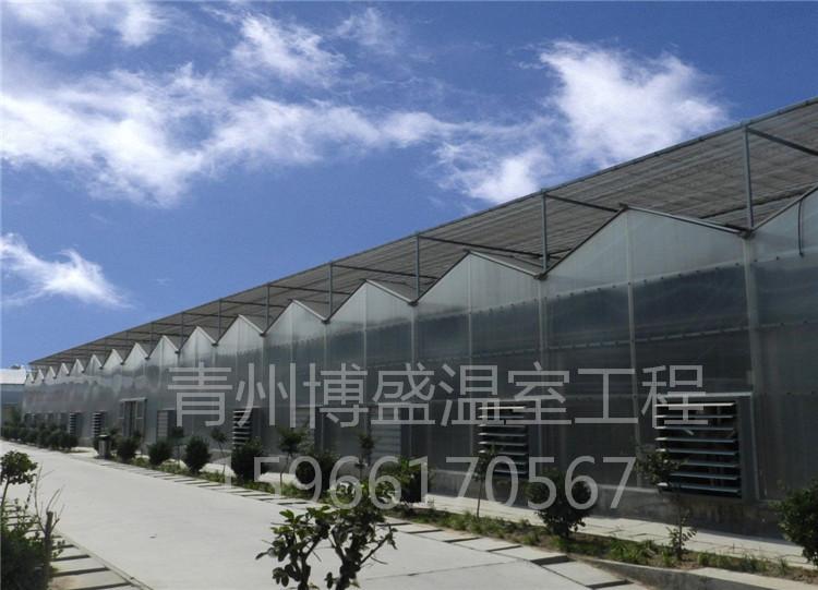PC板 玻璃温室大棚  智能连栋温室大棚   博盛温室