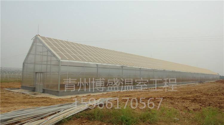PC连栋智能温室 阳光板温室大棚 博盛温室