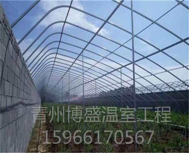 连栋日光温室大棚_博盛_连栋大棚_经销商搭建