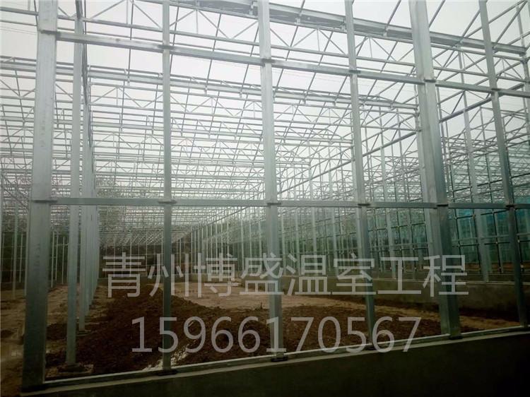 单体薄膜大棚 大棚工程  连栋薄膜温室厂家  博盛