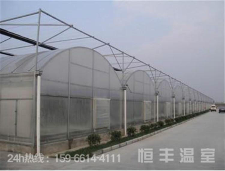 单体拱棚大跨度薄膜大棚春秋棚蔬菜大棚种植温室大棚  恒丰温室