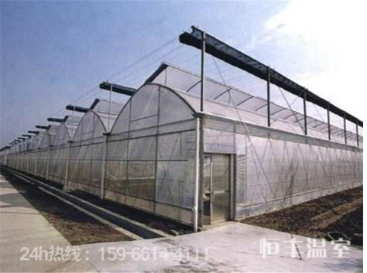 山东连栋薄膜温室 单体拱形温室大棚 日光蔬菜温室大棚建设厂家  恒丰温室
