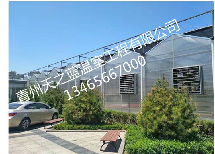 天之蓝温室大棚连栋大棚大棚骨架养殖大棚PC阳光板温蔬菜大棚玻璃温室连栋大棚价格