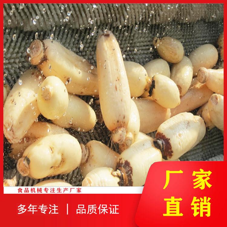 源头厂家鲜姜毛辊清洗去皮机 猪头猪耳毛辊清洗机 胡萝卜莲藕生姜去杂清洗机