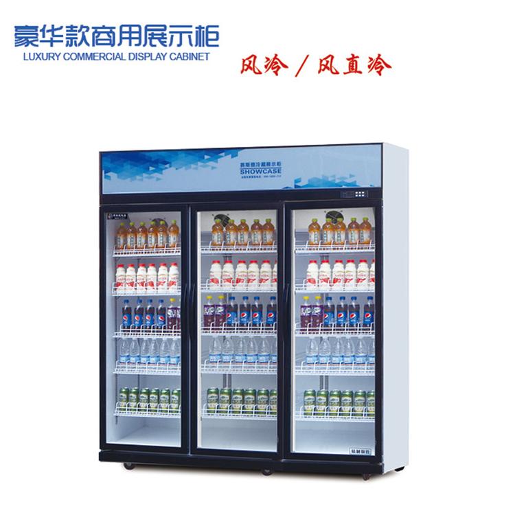 专供啤酒厂展示柜 单门 双门 三门啤酒冷藏柜 便利店啤酒柜