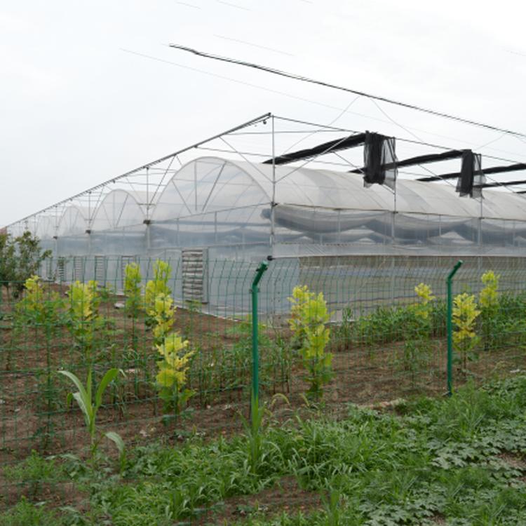 花卉大棚  承建花卉大棚 花卉种植温室工程