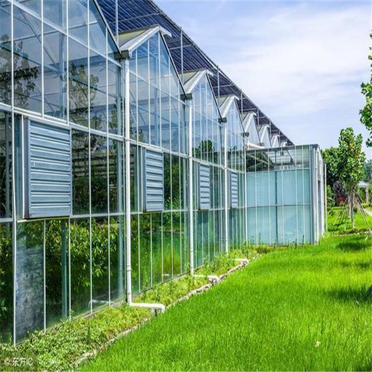 智能温室大棚 智能大棚建设公司  品质保障鸿川温室