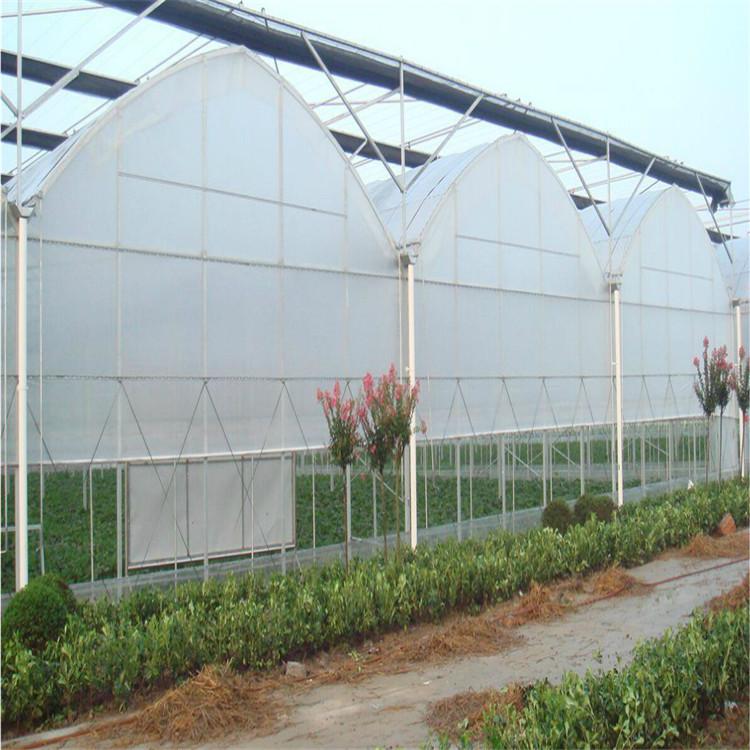 鸿川承建连栋薄膜温室 连栋薄膜温室大棚搭建