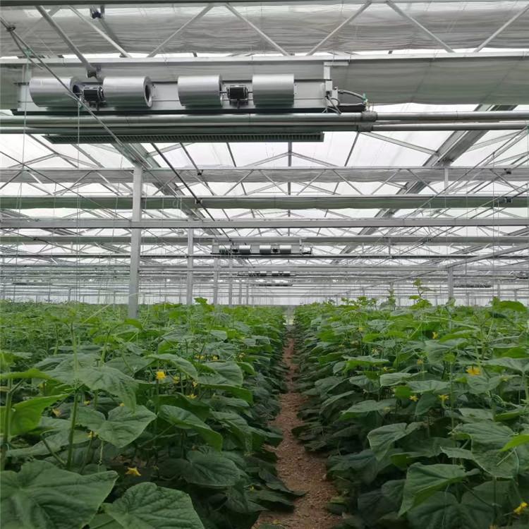 咨询下挖槽式果菜种植系统项目 选择方立农业 正确的选择