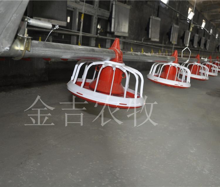 养殖畜牧自动喂养设备料线   平养鸡专用料线