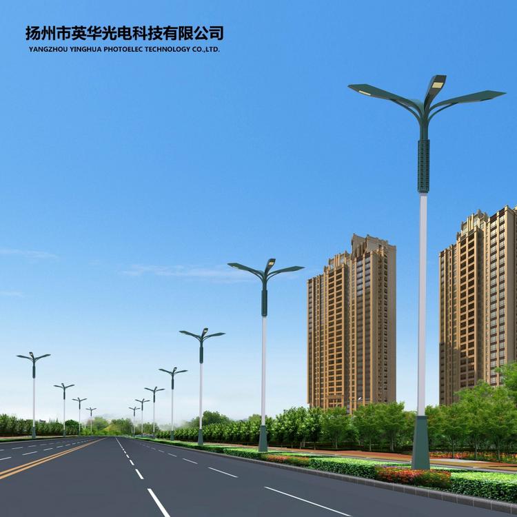 LED玉兰灯 八叉九火玉兰灯 扬州玉兰灯专业生产厂家 源头生产厂家 全国地区发货