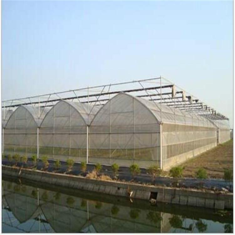 智能温室-智能温室建设-山东温室大棚厂家