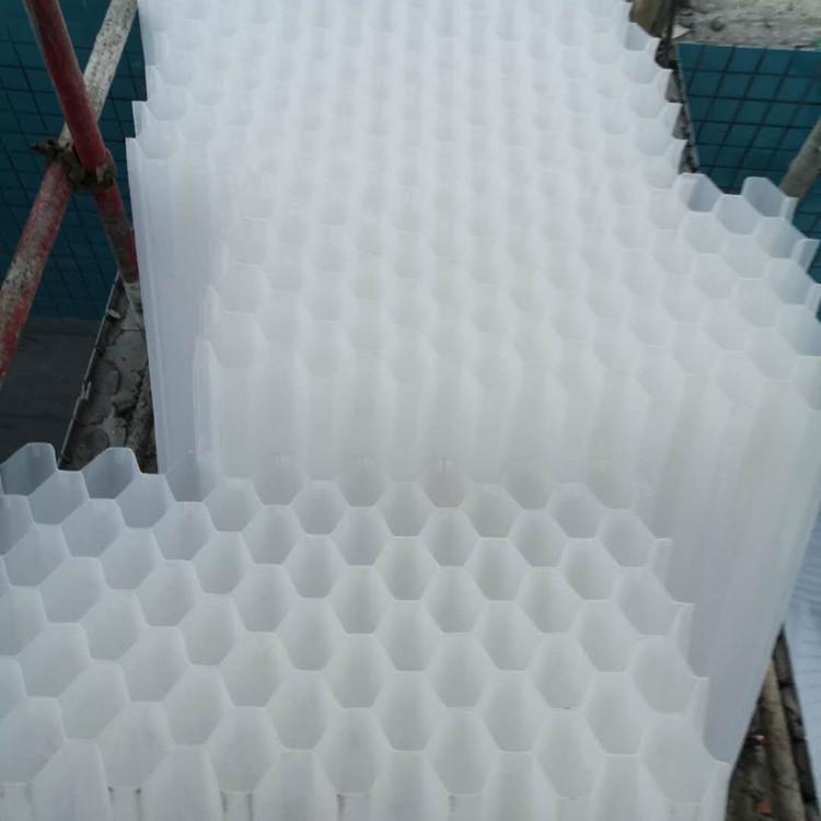聚丙烯蜂窝斜管填料过滤废水 35mm孔径蜂窝斜管现货供应