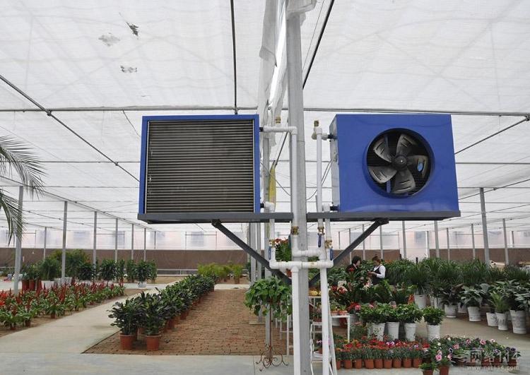 花农必选价格优惠 大棚花卉养殖散热器 大风量低噪音散热器 节能养殖散热器