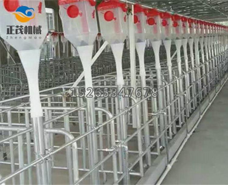 养猪场专用料线     自动化喂养料线     专业技术欢迎咨询