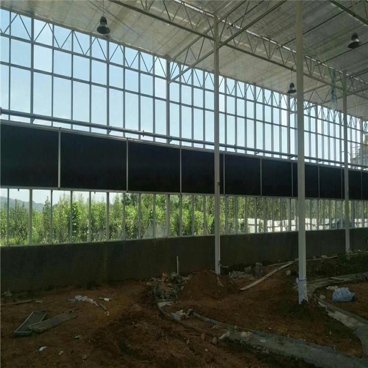 文洛温室大棚-温室大棚建设