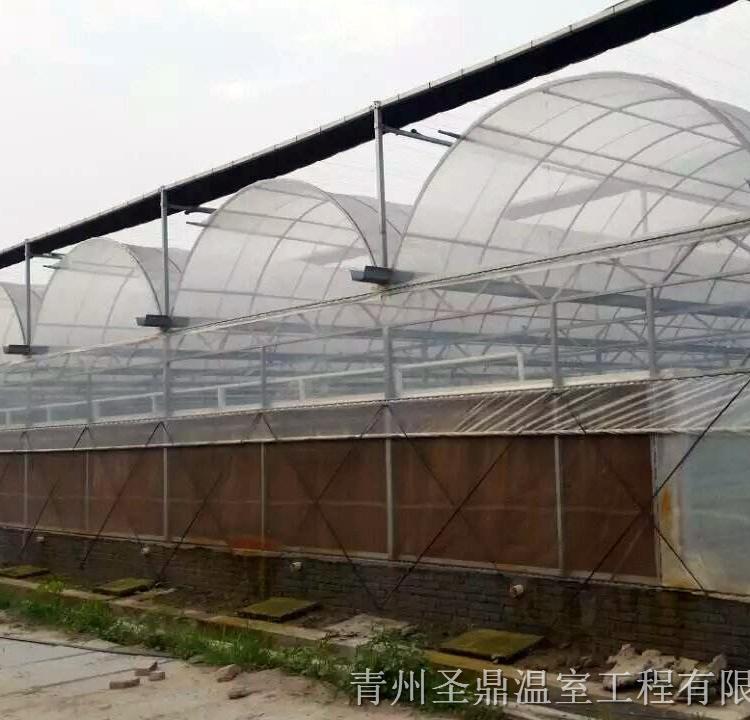 连栋温室大棚设计 承建连栋薄膜温室大棚公司 连栋温室大棚报价