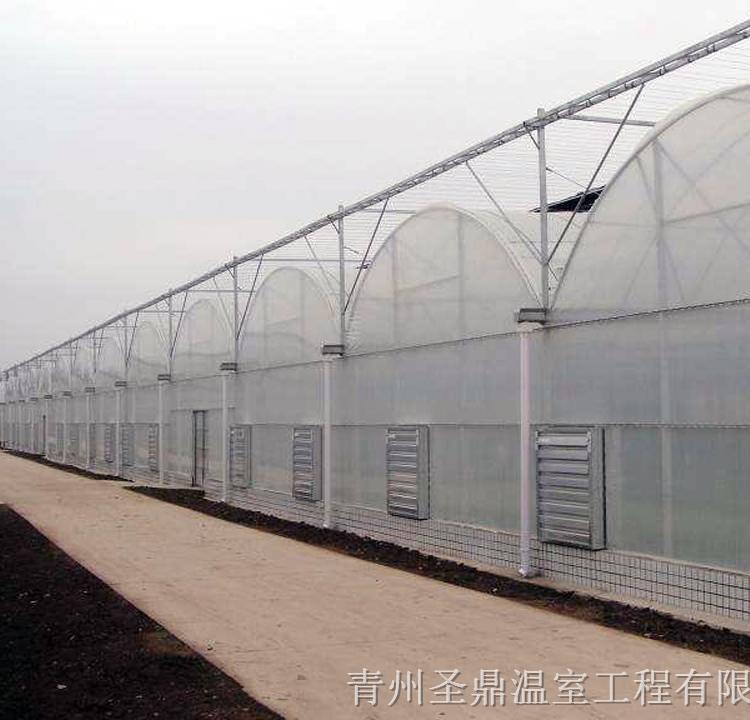 定制连栋薄膜温室大棚 连栋薄膜温室大棚工程
