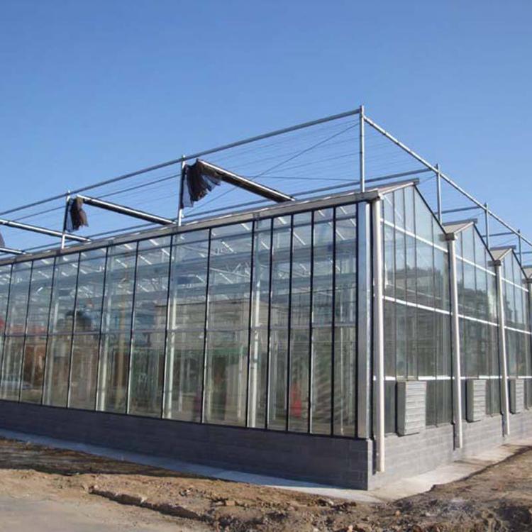 文洛温室建造 文洛温室设计【圣鼎】名号响当当 文洛式玻璃温室公司