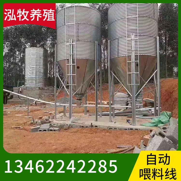 泓牧养殖 自动喂料线 育肥母猪料线 全自动上料 自动喂料系统