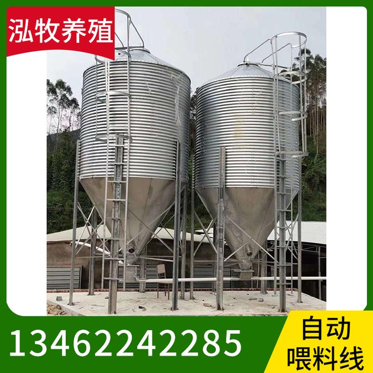 泓牧养殖 自动喂料线 育肥母猪料线 全自动上料 养猪饲料塔 养猪用自动喂料料塔 养猪自动上料线 全自动上料线 养猪全套料线 自动喂料系统 喂猪料线