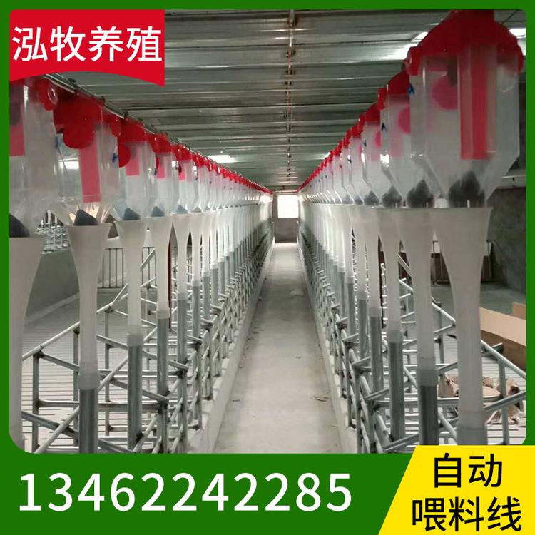 泓牧养殖 自动喂料线 全自动上料线 养猪全套料线 猪场全自动喂料线
