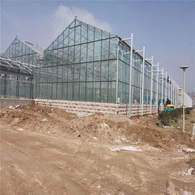 玻璃温室大棚建造 农业种植玻璃大棚 花卉玻璃温室厂家