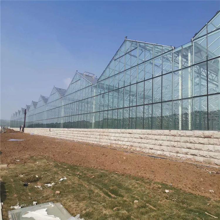 连栋智能温室 山东智能温室建造商 鸿川温室承建温室工程