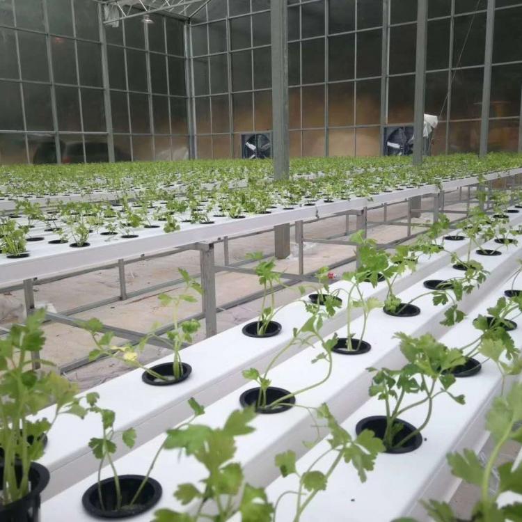 无土栽培 蔬菜种植大棚 无土种植设施 管道种植 厂家直销立体种植批发设备