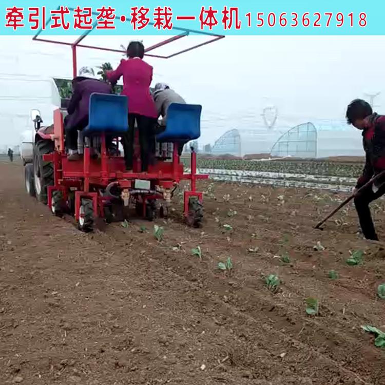 番茄移栽机价格  批发番茄移栽机 欢迎来电采购
