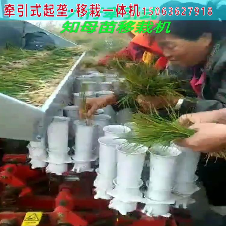 青州知母苗移栽机 知母苗移栽机价格 知母苗移栽机报价 欢迎咨询